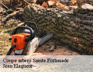 Coupe arbres sainte-fortunade-19490 Jean Elagueur
