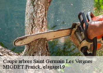 Coupe arbres  saint-germain-les-vergnes-19330 MIODET Franck, elagage19