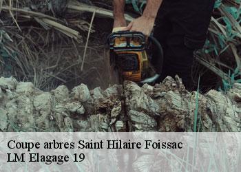 Coupe arbres saint-hilaire-foissac-19550 LM Elagage 19