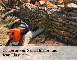 Coupe arbres saint-hilaire-luc-19160 Jean Elagueur