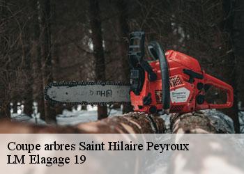 Coupe arbres 19560