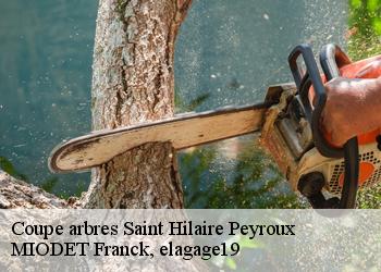 Coupe arbres  saint-hilaire-peyroux-19560 MIODET Franck, elagage19