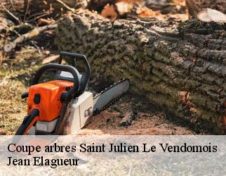 Coupe arbres saint-julien-le-vendomois-19210 Jean Elagueur