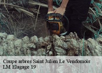 Coupe arbres saint-julien-le-vendomois-19210 LM Elagage 19