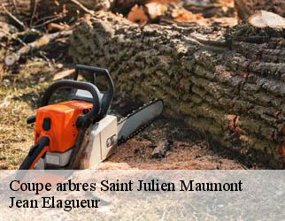 Coupe arbres  saint-julien-maumont-19500 Jean Elagueur