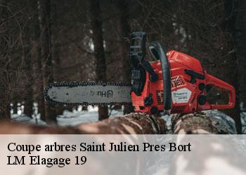 Coupe arbres 19110
