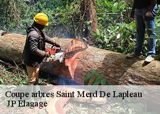 Coupe arbres saint-merd-de-lapleau-19320 JP Elagage