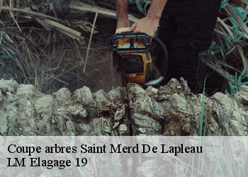 Coupe arbres saint-merd-de-lapleau-19320 LM Elagage 19