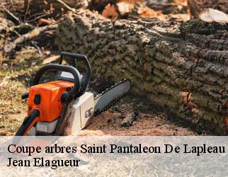 Coupe arbres saint-pantaleon-de-lapleau-19160 Jean Elagueur