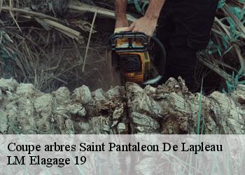 Coupe arbres saint-pantaleon-de-lapleau-19160 LM Elagage 19