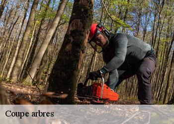 Coupe arbres 19160