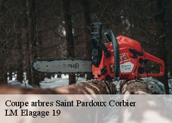 Coupe arbres 19210
