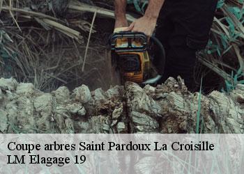 Coupe arbres  saint-pardoux-la-croisille-19320 LM Elagage 19