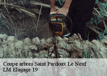 Coupe arbres saint-pardoux-le-neuf-19200 LM Elagage 19