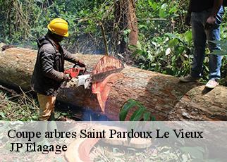 Coupe arbres saint-pardoux-le-vieux-19200 JP Elagage