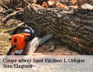 Coupe arbres saint-pardoux-l-ortigier-19270 Jean Elagueur