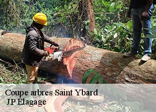 Coupe arbres saint-ybard-19140 JP Elagage