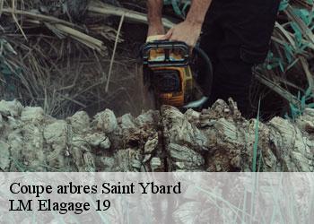 Coupe arbres  saint-ybard-19140 LM Elagage 19