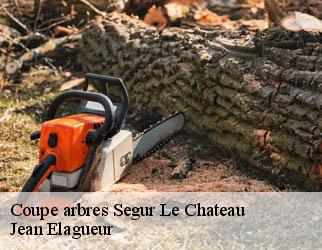 Coupe arbres segur-le-chateau-19230 Jean Elagueur