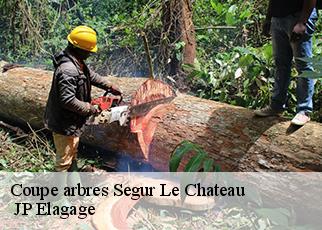 Coupe arbres segur-le-chateau-19230 JP Elagage