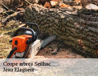 Coupe arbres seilhac-19700 Jean Elagueur