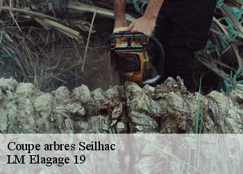 Coupe arbres seilhac-19700 LM Elagage 19