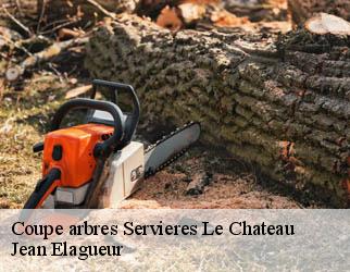 Coupe arbres servieres-le-chateau-19220 Jean Elagueur