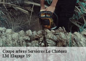 Coupe arbres servieres-le-chateau-19220 LM Elagage 19