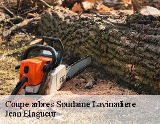 Coupe arbres  soudaine-lavinadiere-19370 Jean Elagueur