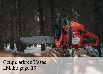 Coupe arbres 19270