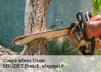 Coupe arbres  ussac-19270 MIODET Franck, elagage19
