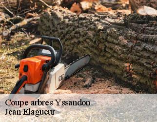 Coupe arbres yssandon-19310 Jean Elagueur