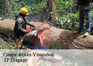 Coupe arbres yssandon-19310 JP Elagage