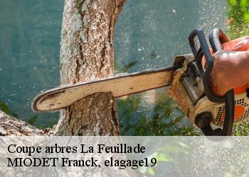 Coupe arbres  la-feuillade-19600 MIODET Franck, elagage19