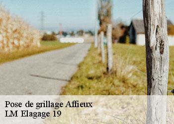 Pose de grillage 19260