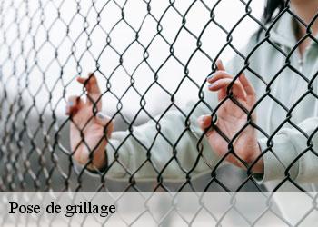 Pose de grillage 19260