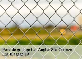 Pose de grillage les-angles-sur-correze-19000 LM Elagage 19