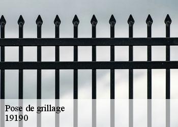 Pose de grillage 19190