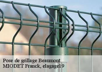 Pose de grillage  beaumont-19390 MIODET Franck, elagage19
