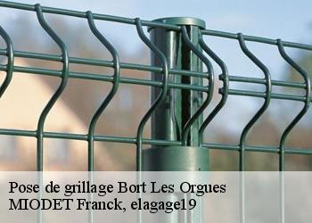 Pose de grillage  bort-les-orgues-19110 MIODET Franck, elagage19