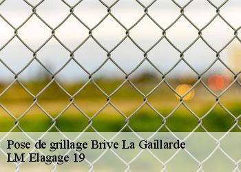 Pose de grillage brive-la-gaillarde-19100 LM Elagage 19