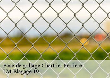 Pose de grillage chartrier-ferriere-19600 LM Elagage 19
