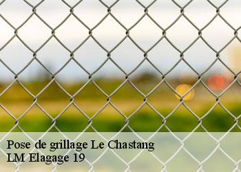 Pose de grillage le-chastang-19190 LM Elagage 19