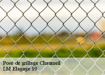 Pose de grillage chaumeil-19390 LM Elagage 19