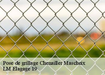 Pose de grillage  chenailler-mascheix-19120 LM Elagage 19