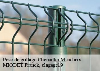 Pose de grillage  chenailler-mascheix-19120 MIODET Franck, elagage19