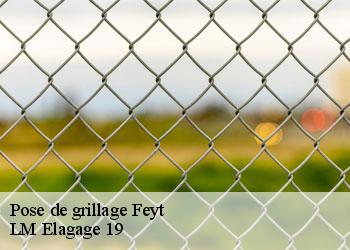 Pose de grillage feyt-19340 LM Elagage 19