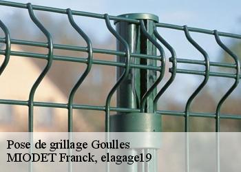 Pose de grillage  goulles-19430 MIODET Franck, elagage19