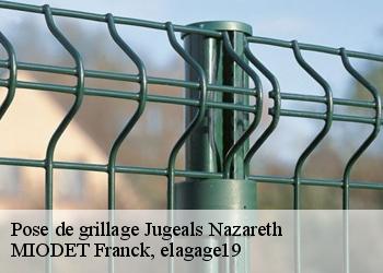 Pose de grillage  jugeals-nazareth-19500 MIODET Franck, elagage19
