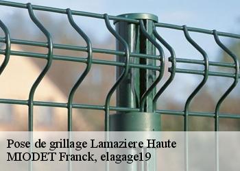 Pose de grillage  lamaziere-haute-19340 MIODET Franck, elagage19